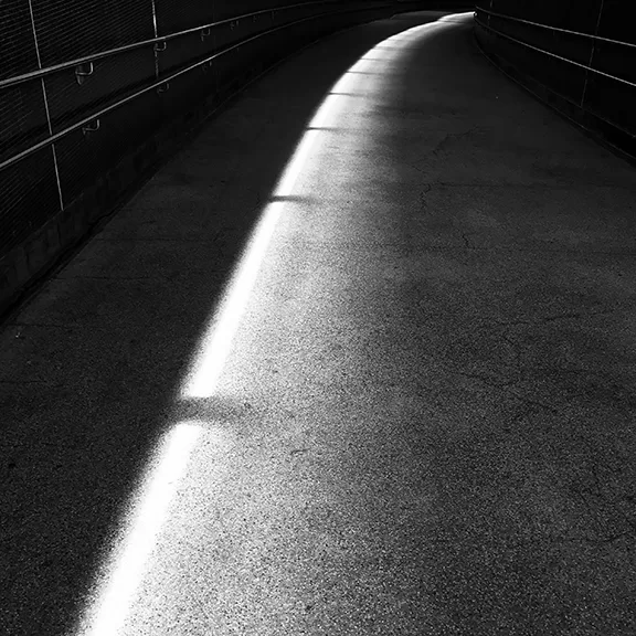 Path