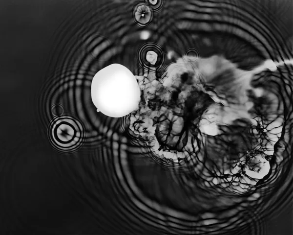 The Ripples